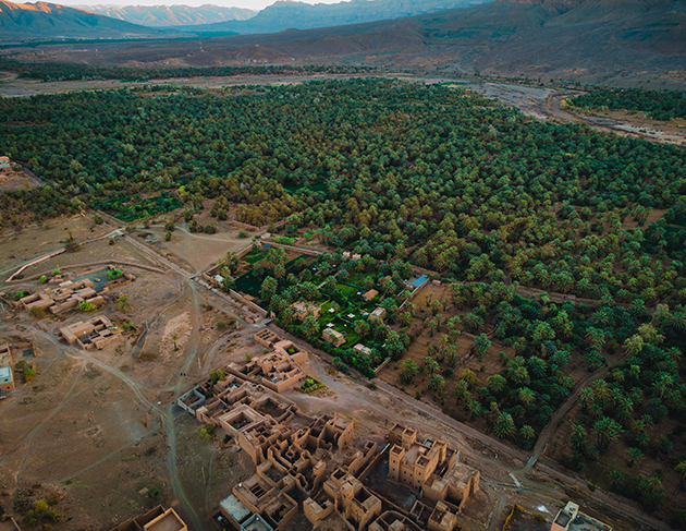 Aerial photo of Kasbah Hnini (bottom centre) and the vast date palm oasis, Draa River valley